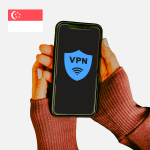Wireguard VPN - Singapore - VPN for Virtual Assistants - 6M